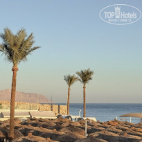 фото из отзыва ID 2736530