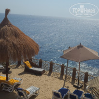 фото из отзыва ID 2736535