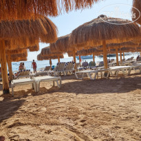 фото из отзыва ID 2736536