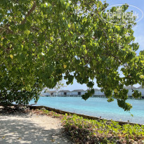 фото из отзыва ID 2736539