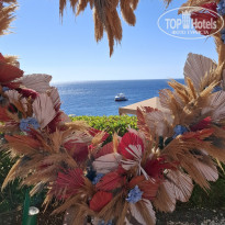 фото из отзыва ID 2736538