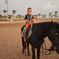 фото из отзыва ID 2736538