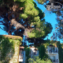 фото из отзыва ID 2734324