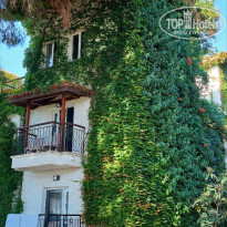 фото из отзыва ID 2734324