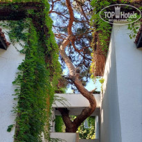 фото из отзыва ID 2734324