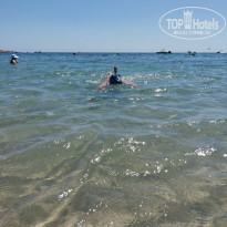 фото из отзыва ID 2736549