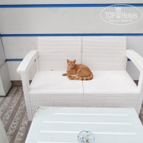 фото из отзыва ID 2734318