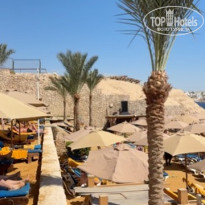 фото из отзыва ID 2736600