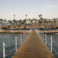 фото из отзыва ID 2736600