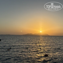 фото из отзыва ID 2736600