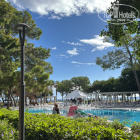 фото из отзыва ID 2736605