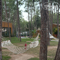 фото из отзыва ID 2736605