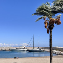 фото из отзыва ID 2736605