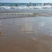 фото из отзыва ID 2736601