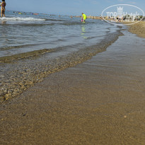 фото из отзыва ID 2736601