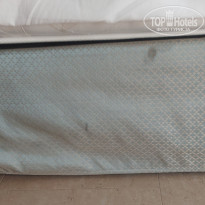 фото из отзыва ID 2736609