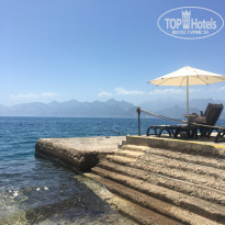 фото из отзыва ID 2736594