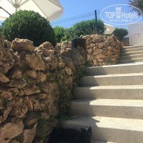 фото из отзыва ID 2736594