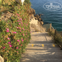 фото из отзыва ID 2736594