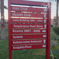 фото из отзыва ID 2733922