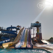 фото из отзыва ID 2733922