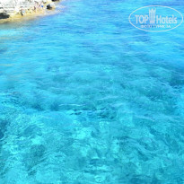 фото из отзыва ID 2736631