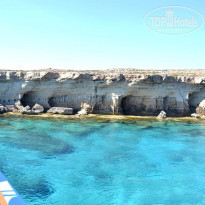 фото из отзыва ID 2736631