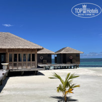 фото из отзыва ID 2736645