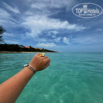 фото из отзыва ID 2736647