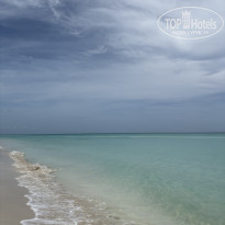 фото из отзыва ID 2736647