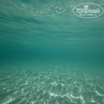 фото из отзыва ID 2736647