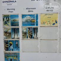 фото из отзыва ID 2736656