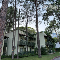 фото из отзыва ID 2736656