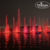 фото из отзыва ID 2736667