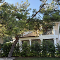 фото из отзыва ID 2736670