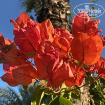 фото из отзыва ID 2736703