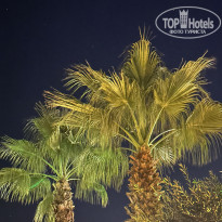 фото из отзыва ID 2736703