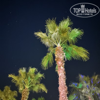 фото из отзыва ID 2736703