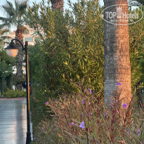 фото из отзыва ID 2736703