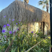 фото из отзыва ID 2736703