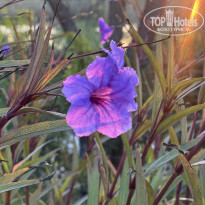 фото из отзыва ID 2736703