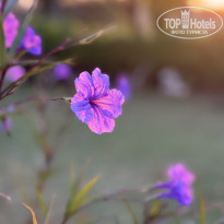 фото из отзыва ID 2736703