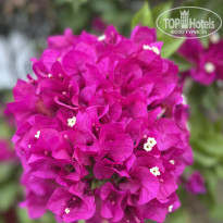 фото из отзыва ID 2736703