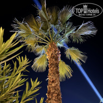 фото из отзыва ID 2736703