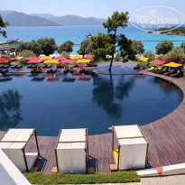 фото из отзыва ID 2736715