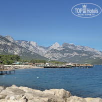 фото из отзыва ID 2736725