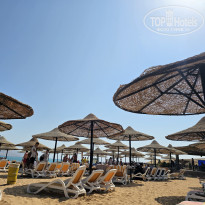 фото из отзыва ID 2736722