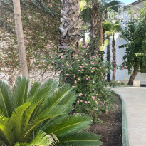 фото из отзыва ID 2736726