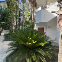 фото из отзыва ID 2736726