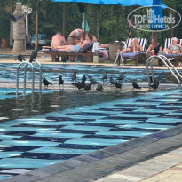 фото из отзыва ID 2736746